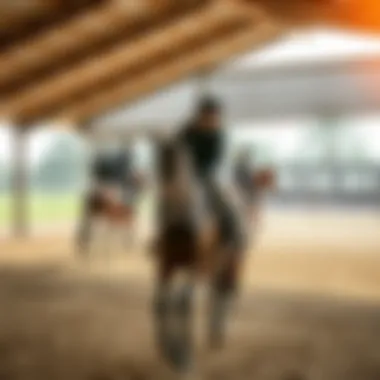 Training Sessions at the Club Riders training in a picturesque outdoor arena