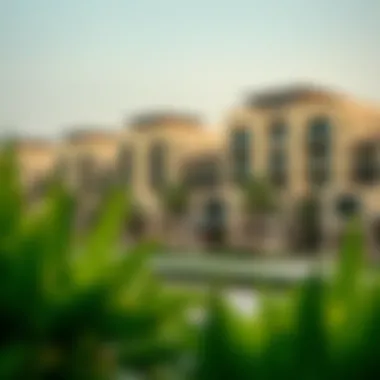 Luxurious residential buildings in Al Nadha reflecting contemporary design