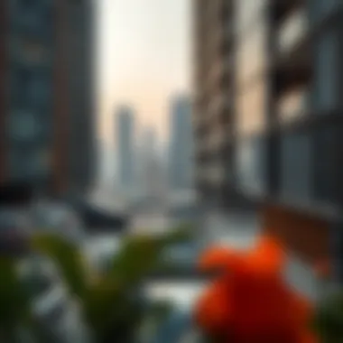 Understanding Pricing Trends in Bur Dubai Pricing trends for studio flats