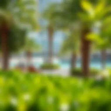 Recreational Spaces in Dubai Marina Serene recreational area in Dubai Marina with lush greenery